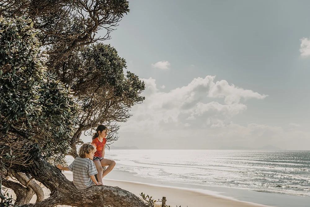 Parc Ferme New Zealand Tours Beach